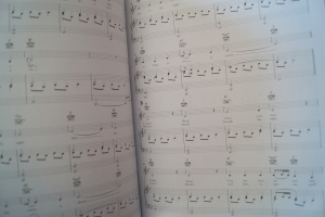 Enya - And Winter came Songbook Notenbuch Piano Vocal Guitar PVG