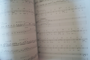 Megadeth - Endgame Songbook Notenbuch Vocal Guitar