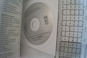 Scales n More (mit CD) Gitarrenbuch