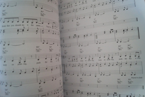 Nick Cave - Push the Sky away Songbook Notenbuch Piano Vocal Guitar PVG