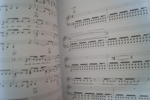 Nick Cave - Push the Sky away Songbook Notenbuch Piano Vocal Guitar PVG
