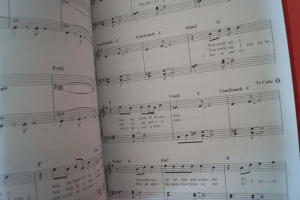 Sting - Collection Songbook Notenbuch Easy Piano Vocal Guitar