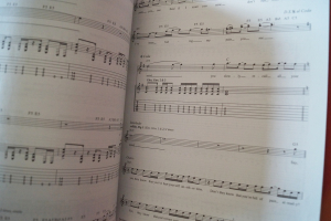 Disturbed - Ten Thousand Fists Songbook Notenbuch Vocal Guitar Bass