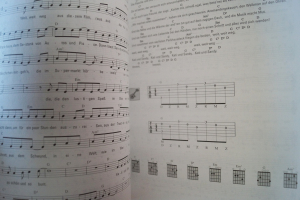 Reinhard Mey - Und so gehts weiter Songbook Notenbuch Vocal Guitar
