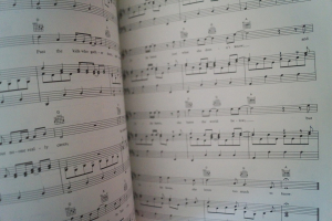 Levellers - Levellers Songbook Notenbuch Piano Vocal Guitar PVG