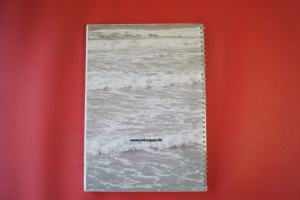 Wise Guys - Frei Songbook Notenbuch Vocal Guitar