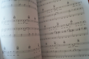 Rosenstolz - Die Suche geht weiter Songbook Notenbuch Piano Vocal Guitar PVG
