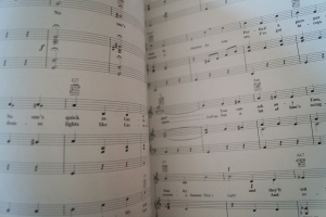 Beauty and the Beast Songbook Notenbuch Piano Vocal Guitar PVG