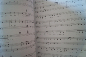 Twilight Breaking Dawn Songbook Notenbuch Piano Vocal Guitar PVG