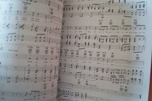 La Cage aux Folles (Musical) Songbook Notenbuch Piano Vocal Guitar PVG