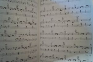 Jenseits der Stille Songbook Notenbuch Piano Vocal Guitar PVG