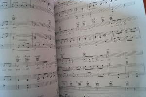 Little Mermaid (Musical) Songbook Notenbuch Piano Vocal Guitar PVG