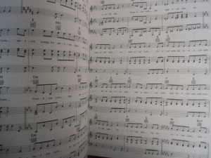 Cats Songbook Notenbuch Piano Vocal Guitar PVG