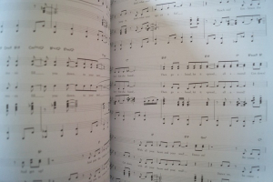 Sister Act (Musical, Deluxe Edition) Songbook Notenbuch Piano Vocal Guitar PVG