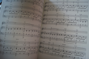 Grand Hotel Highlights Songbook Notenbuch Piano Vocal Guitar PVG