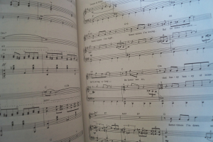 Chicago (Musical) Songbook Notenbuch Piano Vocal Guitar PVG