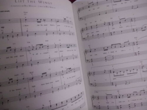 Riverdance Songbook Notenbuch Easy Piano