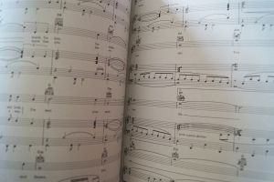 James Bond Themes Songbook Notenbuch Piano Vocal Guitar PVG