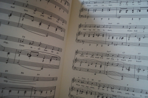 The Sound of Music Songbook Notenbuch Piano Vocal Guitar PVG