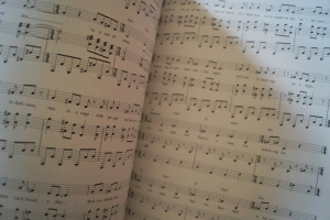 The Woman in White Songbook Notenbuch Piano Vocal Guitar PVG