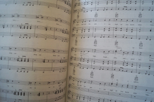 Hair (Selections) Songbook Notenbuch Piano Vocal Guitar PVG