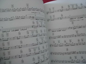 Riverdance (alte Ausgabe) Songbook Notenbuch Piano Vocal Guitar PVG