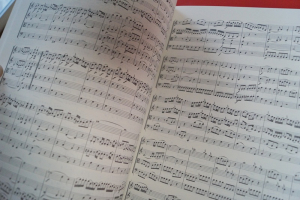 Complete String Quartets (Mozart) Songbook Notenbuch Streichinstrumene