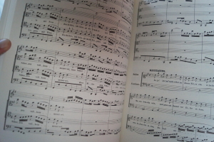 Six Great Secular Cantatas (Bach) Songbook Notenbuch für Orchester (Transcribed Scores)