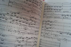St. John Passion (Bach) Songbook Notenbuch für Orchester (Transcribed Scores)