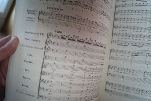 St. John Passion (Bach) Songbook Notenbuch für Orchester (Transcribed Scores)