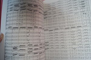 St. Matthew Passion (Bach) Songbook Notenbuch für Orchester (Transcribed Scores)