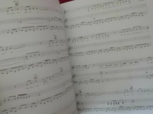 Brooklyn - The Musical Songbook Notenbuch Piano Vocal Guitar PVG