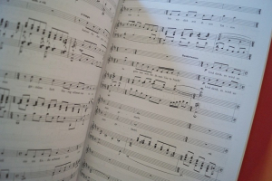 Hundertwasser-Musical (Konstantin Wecker) Songbook Notenbuch Piano Vocal Guitar PVG