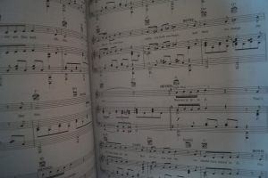 Spamalot Songbook Notenbuch Piano Vocal Guitar PVG