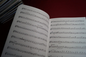 Disney Movie Favorites Songbook Notenbuch Alto Sax