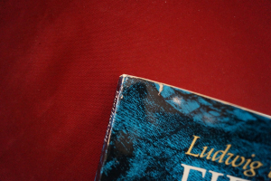 Fidelio (Beethoven) Songbook Notenbuch für Orchester (Transcribed Scores)