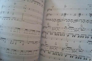 Samba (Movie) Songbook Notenbuch Piano Vocal Guitar PVG