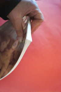 The Wild Party (Lippa) Songbook Notenbuch Piano Vocal