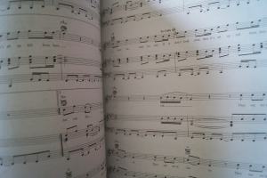 The Hunger Games Catching Fire Songbook Notenbuch Piano Vocal Guitar PVG