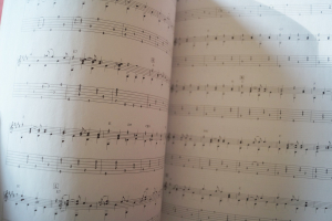 Phantom of the Opera Songbook Notenbuch Tenor Sax