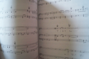 Once Songbook Notenbuch Piano Vocal Guitar PVG