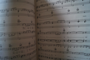 La Bamba Songbook Notenbuch Piano Vocal Guitar PVG