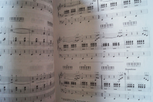 Winnetou Melodien Songbook Notenbuch Organ