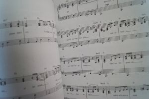 Commitments Songbook Notenbuch Piano Vocal Guitar PVG