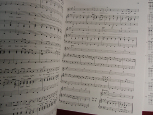 Buddy Holly-Story (mit Grifftabellen) Songbook Notenbuch Piano Vocal Guitar PVG