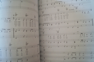 My Best Friend´s Wedding Songbook Notenbuch Piano Vocal Guitar PVG