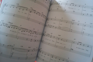 Beauty and the Beast Songbook Notenbuch Easy Piano Vocal