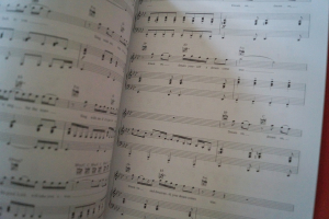 Glee The Showstoppers Vol. 3 Songbook Notenbuch Piano Vocal Guitar PVG