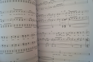 Der König der Löwen (deutsch) Songbook Notenbuch Piano Vocal Guitar PVG