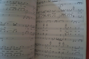 Teenage Mutant Ninja Turtles Songbook Notenbuch Piano Vocal Guitar PVG